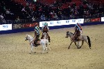 Quadrille - 00168